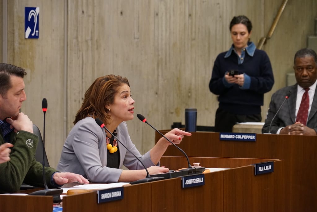 At-large Councilor Julia Mejia points at city officials as she asks a question.