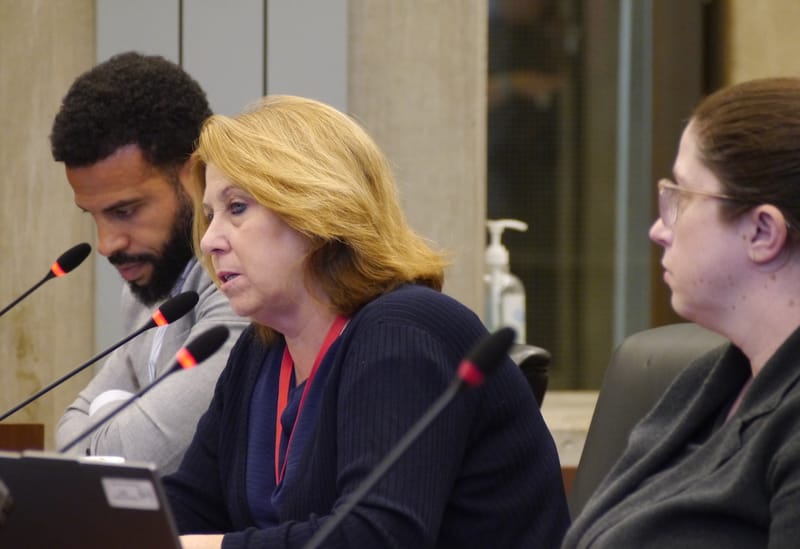 BPS Superintendent Mary Skipper addresses the Council. Looking on are educational consultant Colin Rose and Monica Hogan, BPS Chief of Data, Information and Systems Improvement.